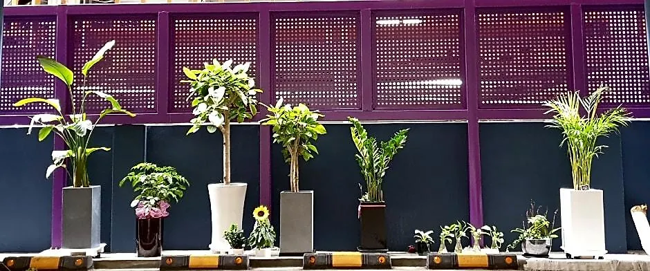 Incheon Soma Hotel